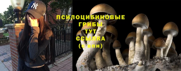 мяу мяу кристалл Осинники