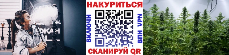 Марихуана гибрид Ковдор